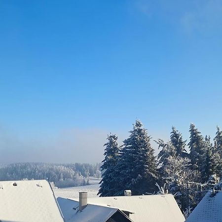 Pension Thueringer Wald Reichmannsdorf Extérieur photo