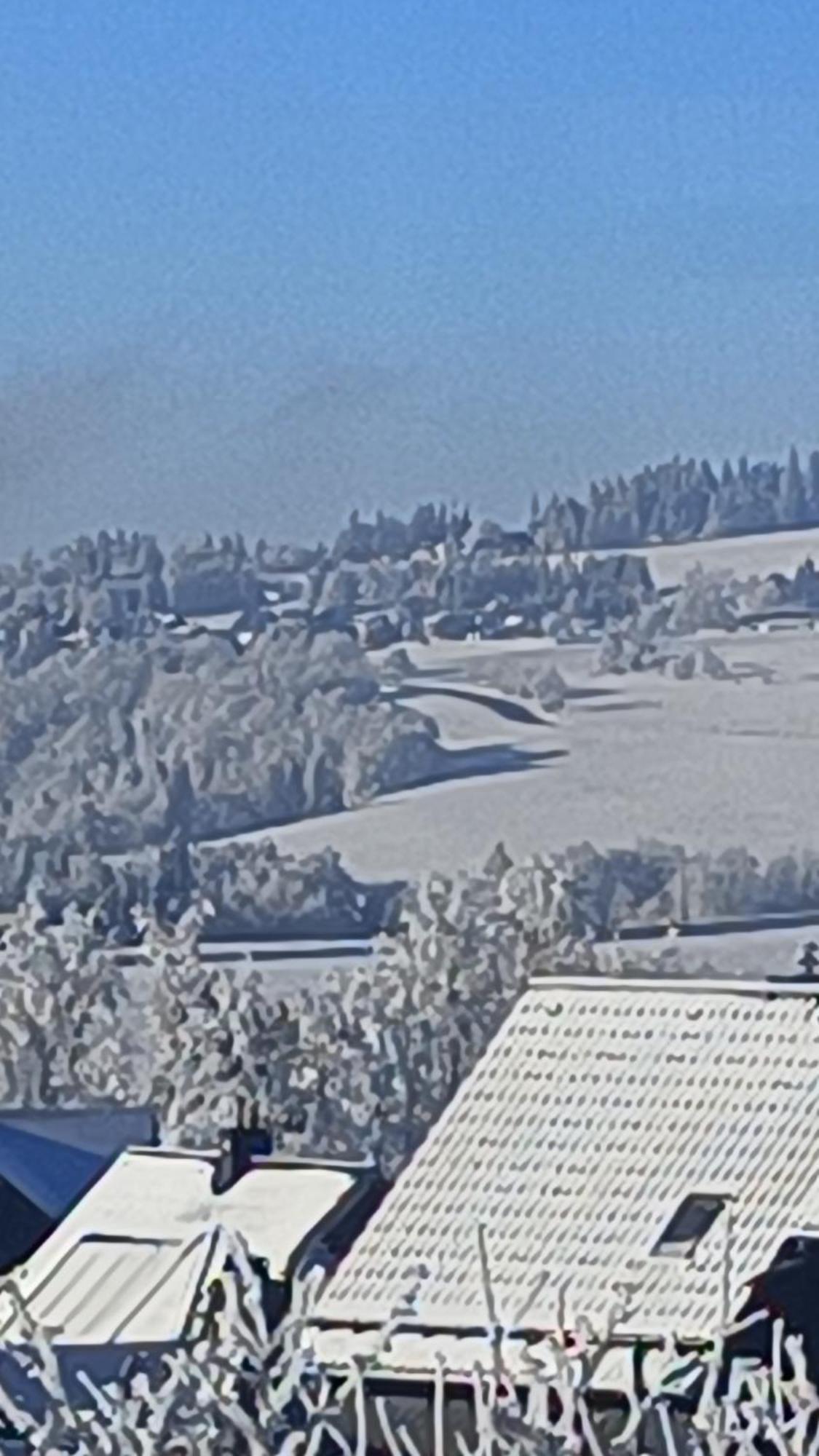 Pension Thueringer Wald Reichmannsdorf Extérieur photo